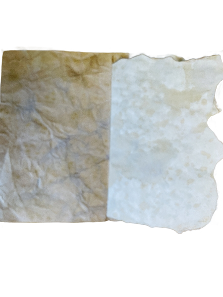 Carnet de pensées - Grande fleur bleue