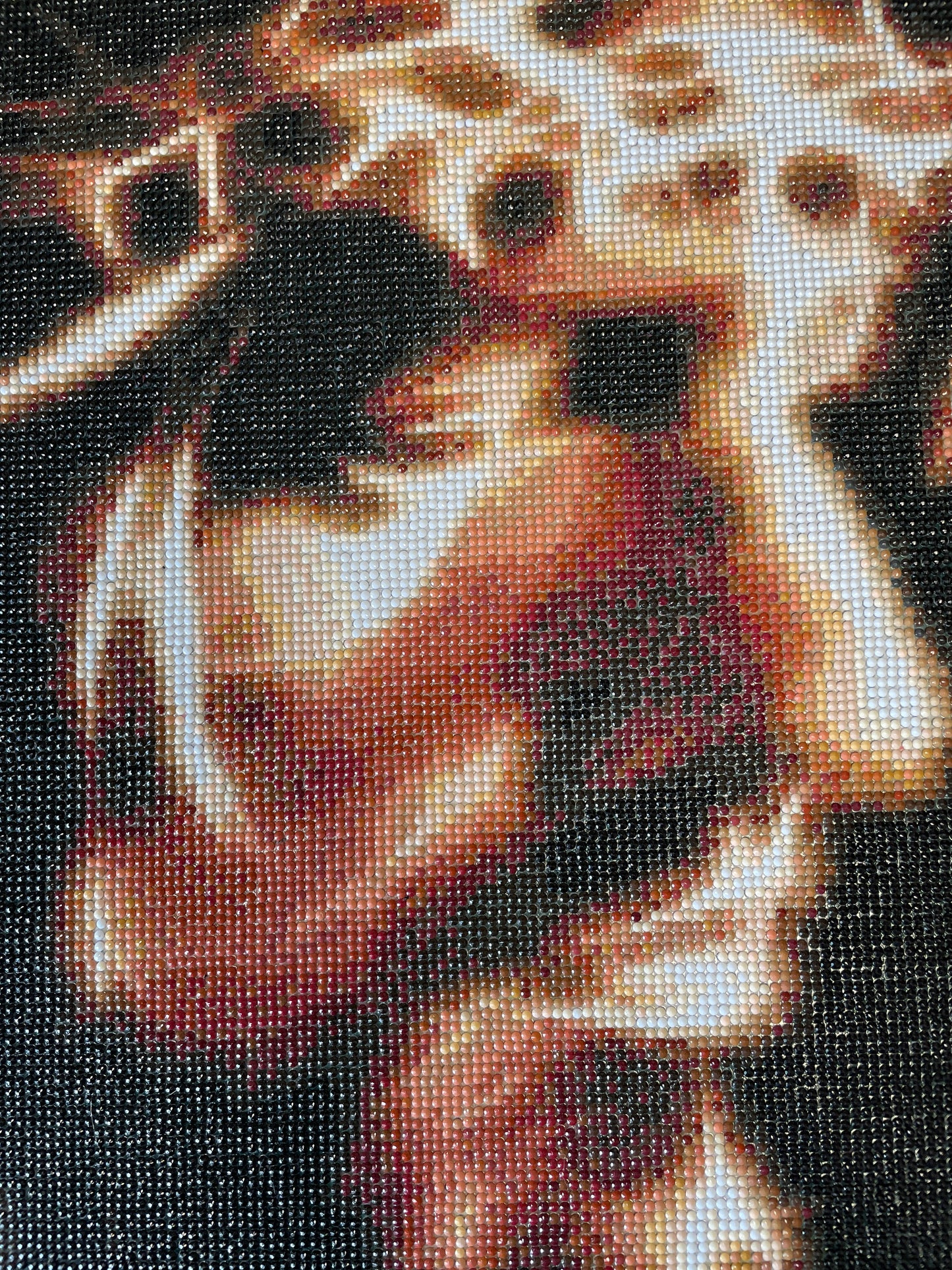 Cadre du Christ avec la Couronne d'épines perlée Grand format