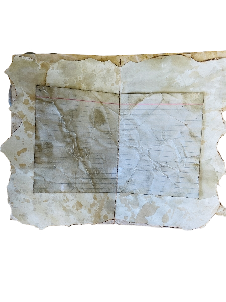 Carnet de pensées - Grande fleur bleue