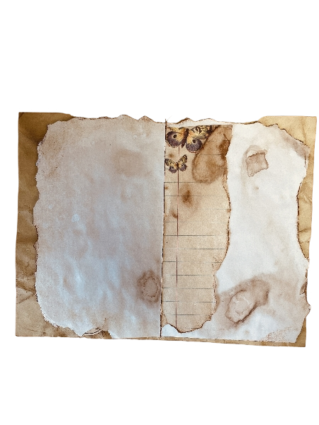 Carnet de pensées - Papillons et fleurs